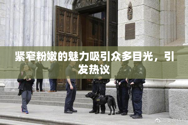 紧窄粉嫩的魅力吸引众多目光，引发热议