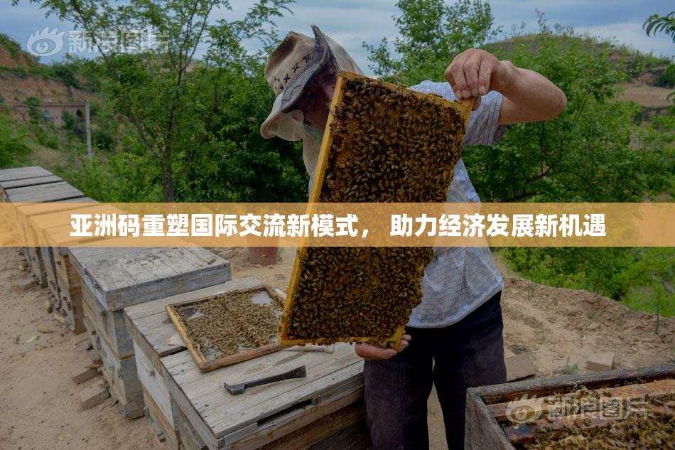 亚洲码重塑国际交流新模式， 助力经济发展新机遇