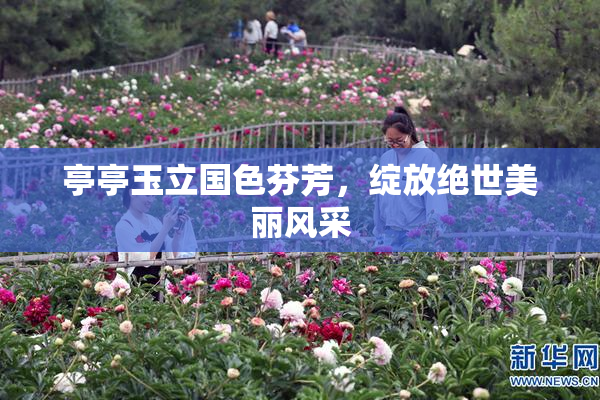 亭亭玉立国色芬芳，绽放绝世美丽风采