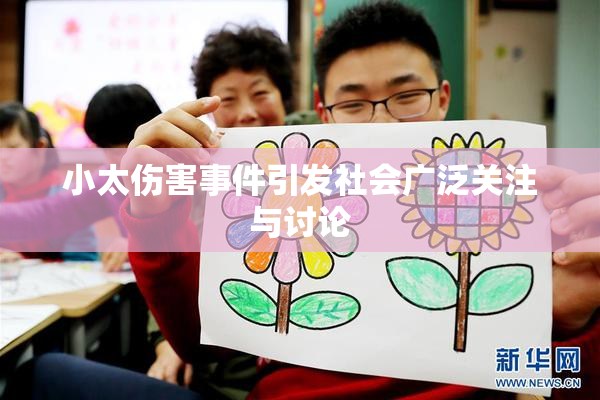 小太伤害事件引发社会广泛关注与讨论