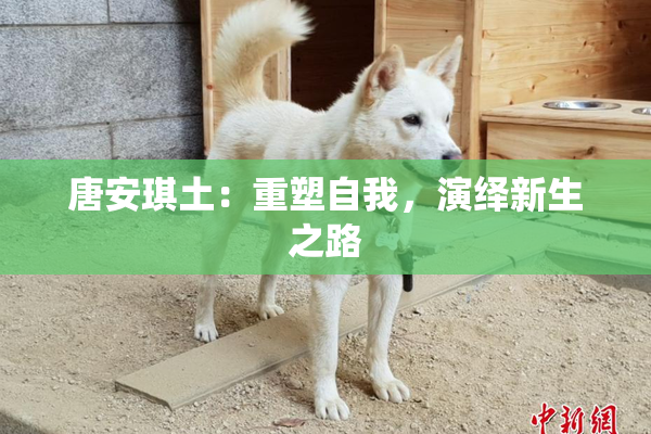 唐安琪土：重塑自我，演绎新生之路