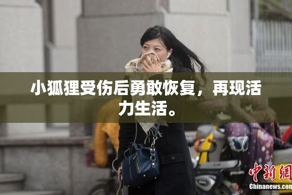 小狐狸受伤后勇敢恢复，再现活力生活。