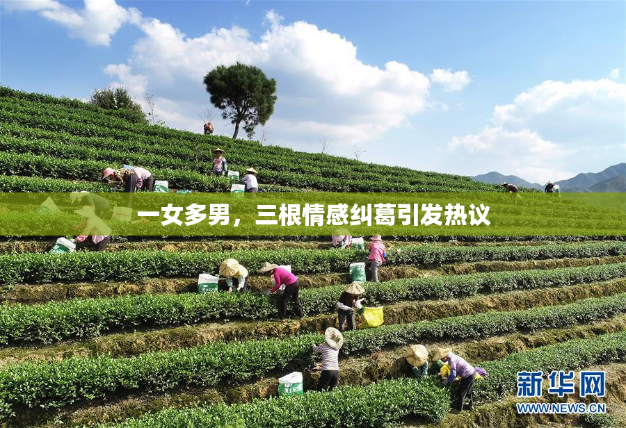 一女多男，三根情感纠葛引发热议