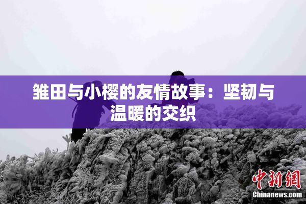 雏田与小樱的友情故事：坚韧与温暖的交织
