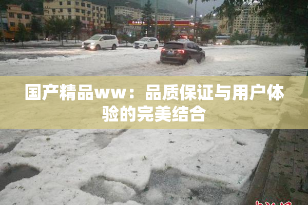 国产精品ww：品质保证与用户体验的完美结合