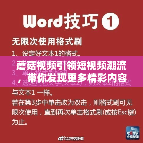 蘑菇视频引领短视频潮流，带你发现更多精彩内容