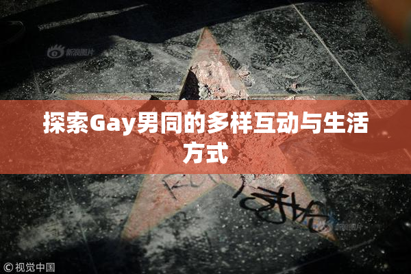 探索Gay男同的多样互动与生活方式