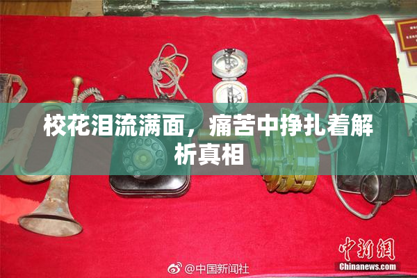 校花泪流满面，痛苦中挣扎着解析真相