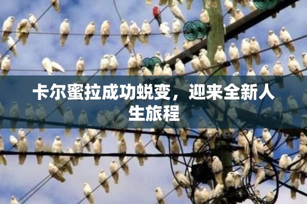 卡尔蜜拉成功蜕变，迎来全新人生旅程