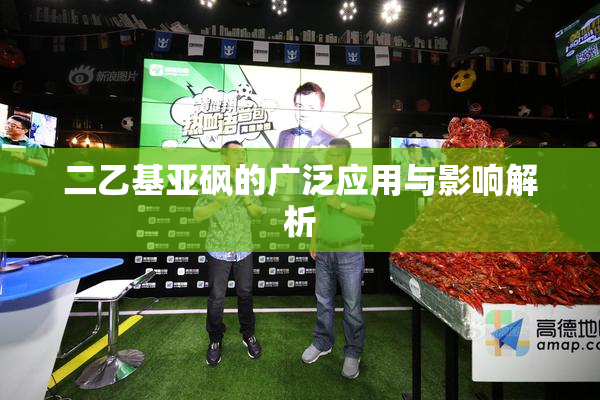 二乙基亚砜的广泛应用与影响解析