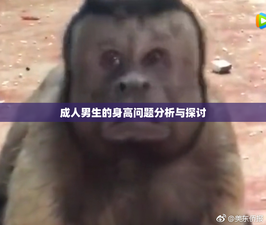 成人男生的身高问题分析与探讨