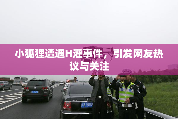小狐狸遭遇H灌事件，引发网友热议与关注