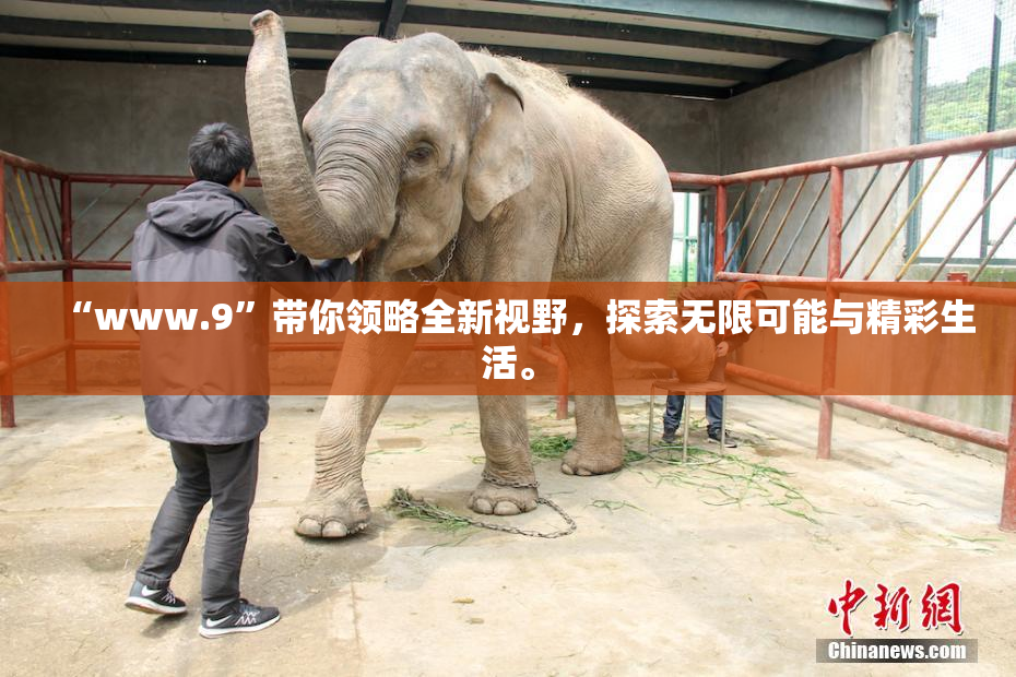 “www.9”带你领略全新视野，探索无限可能与精彩生活。