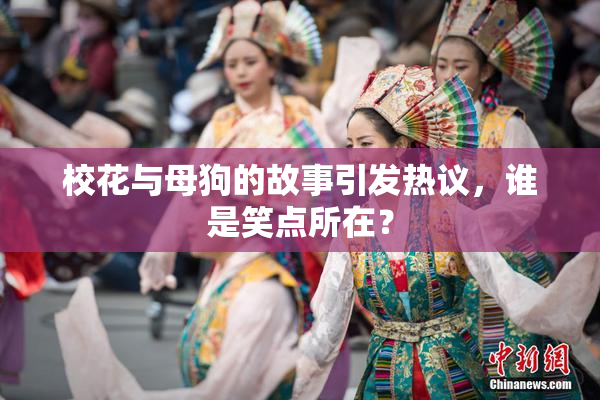 校花与母狗的故事引发热议，谁是笑点所在？