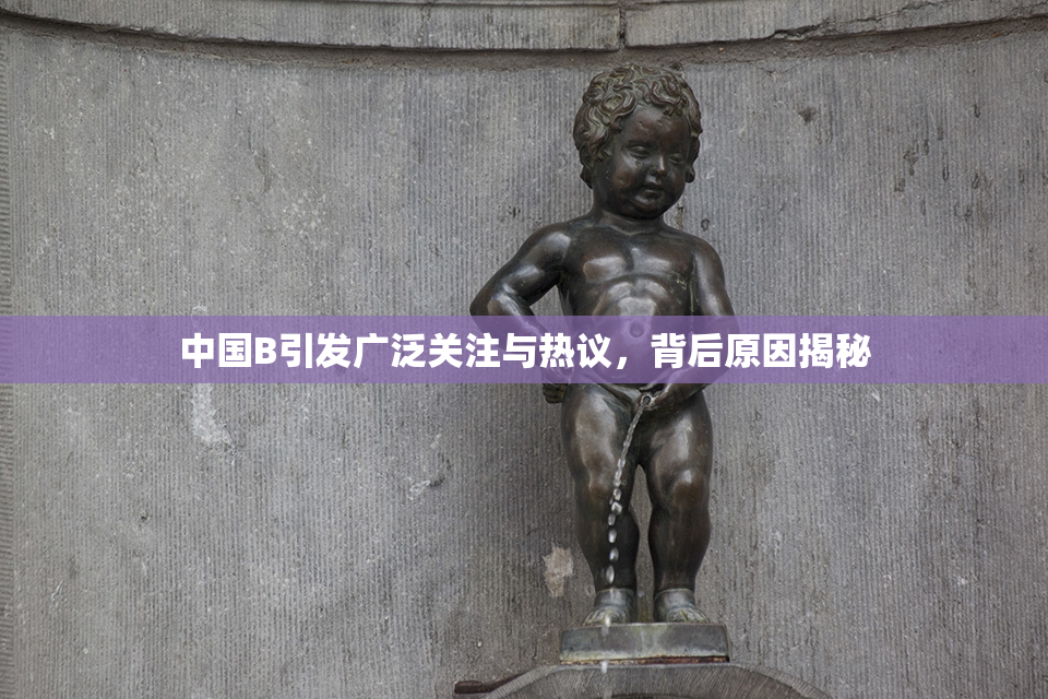 中国B引发广泛关注与热议，背后原因揭秘