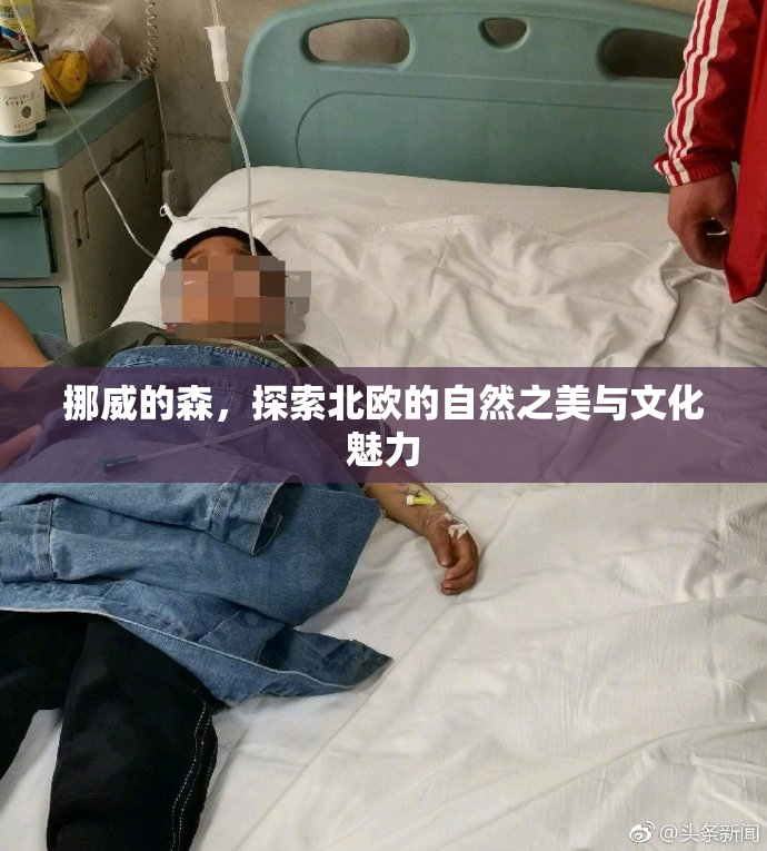 挪威的森，探索北欧的自然之美与文化魅力