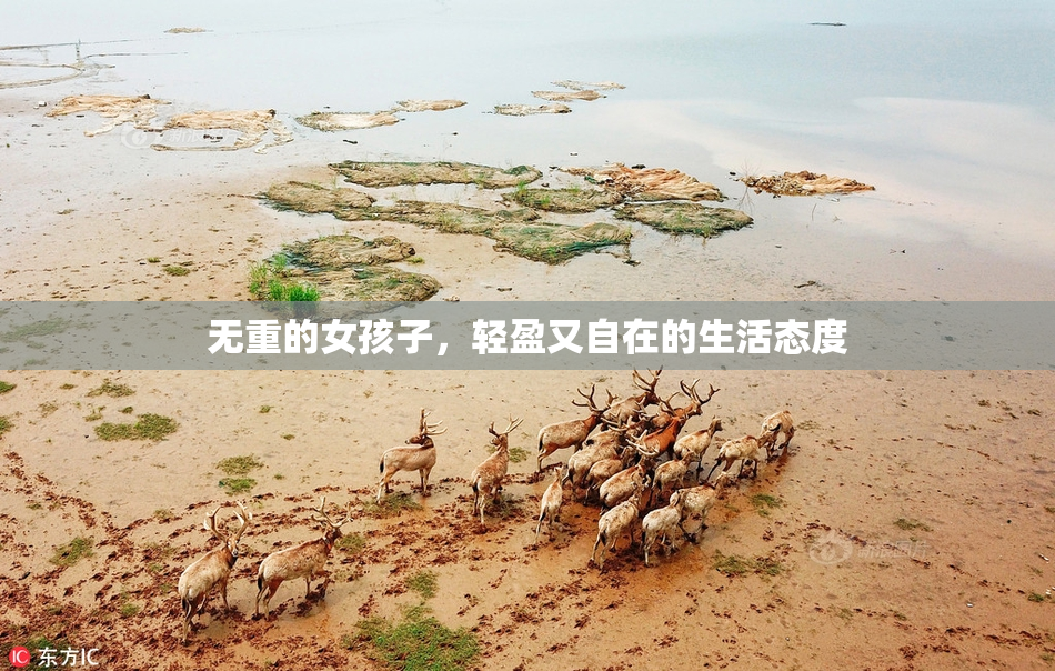 无重的女孩子，轻盈又自在的生活态度