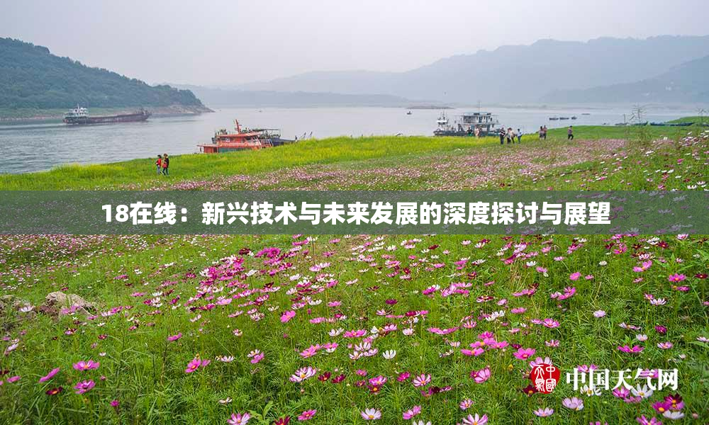 18在线：新兴技术与未来发展的深度探讨与展望