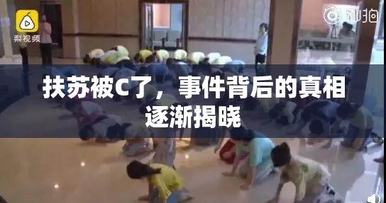 扶苏被C了，事件背后的真相逐渐揭晓