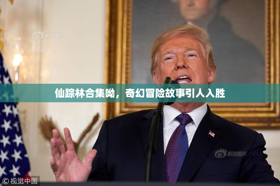 仙踪林合集呦，奇幻冒险故事引人入胜