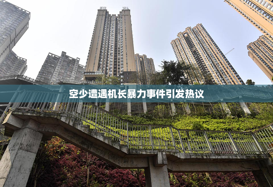 空少遭遇机长暴力事件引发热议