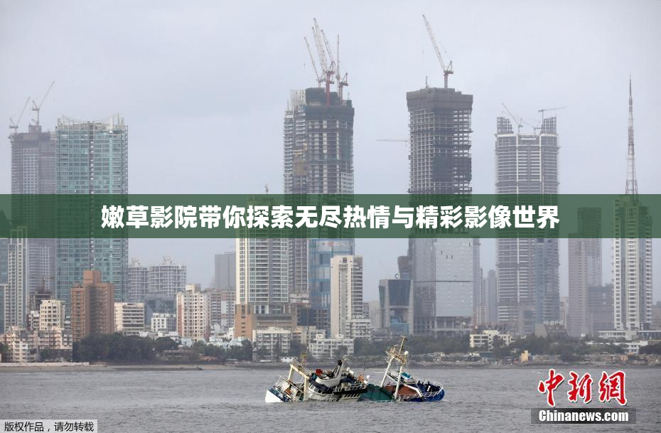 嫩草影院带你探索无尽热情与精彩影像世界