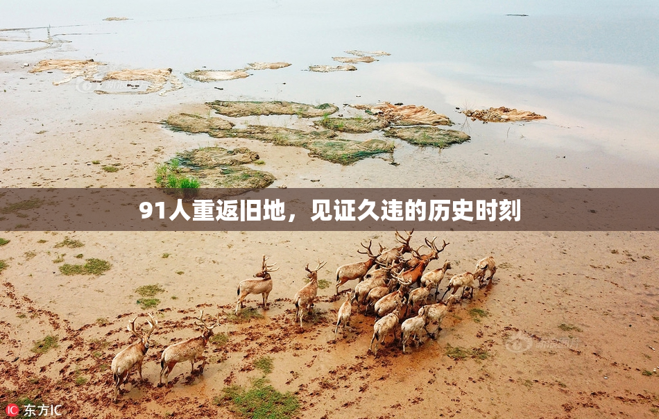 91人重返旧地，见证久违的历史时刻