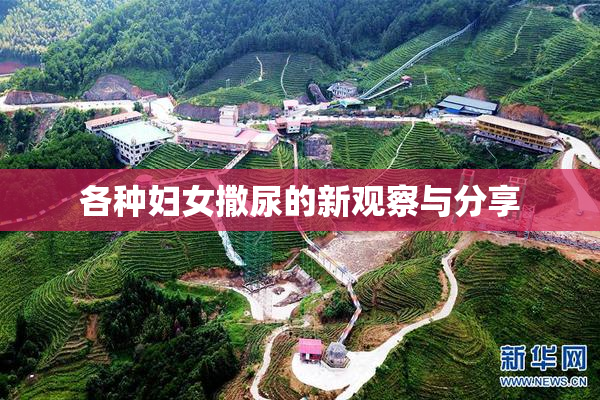 各种妇女撒尿的新观察与分享