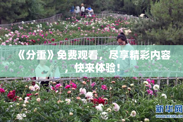 《分重》免费观看，尽享精彩内容，快来体验！