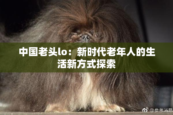 中国老头lo：新时代老年人的生活新方式探索