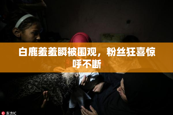 白鹿羞羞瞬被围观，粉丝狂喜惊呼不断