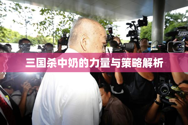 三国杀中奶的力量与策略解析