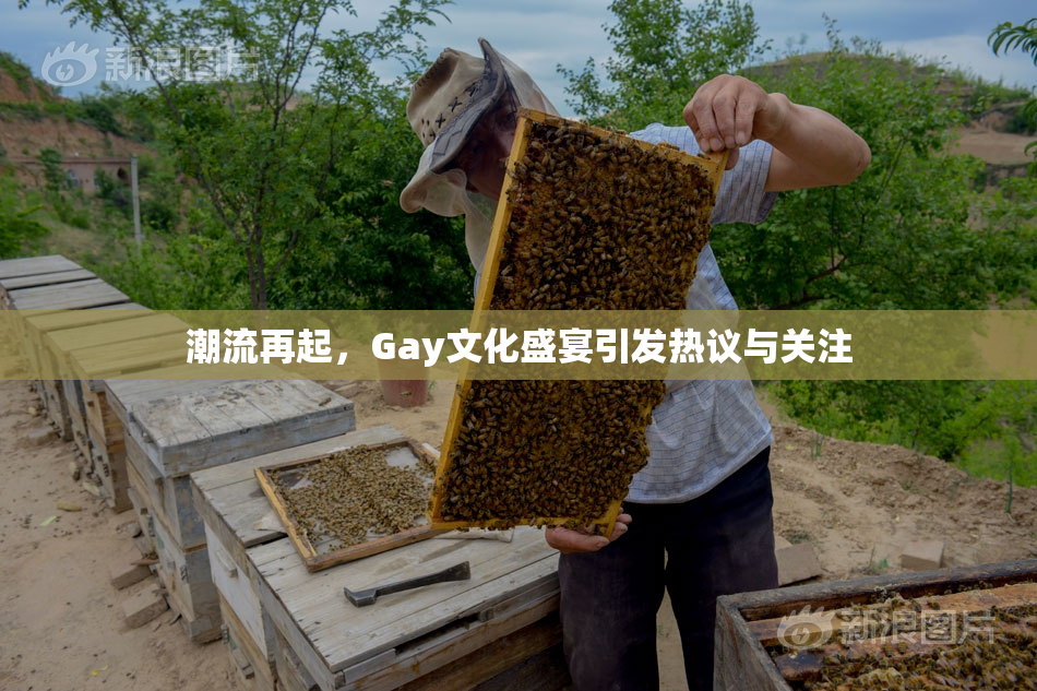 潮流再起，Gay文化盛宴引发热议与关注
