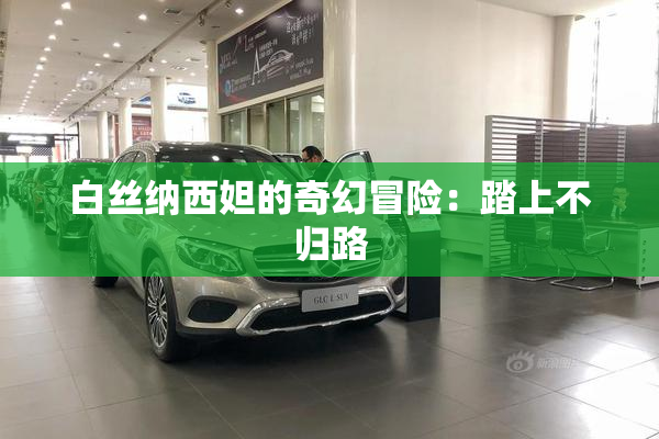 白丝纳西妲的奇幻冒险：踏上不归路