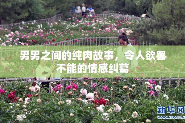 男男之间的纯肉故事，令人欲罢不能的情感纠葛
