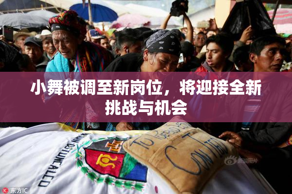 小舞被调至新岗位，将迎接全新挑战与机会