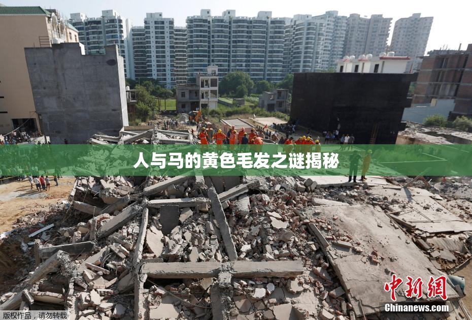 人与马的黄色毛发之谜揭秘