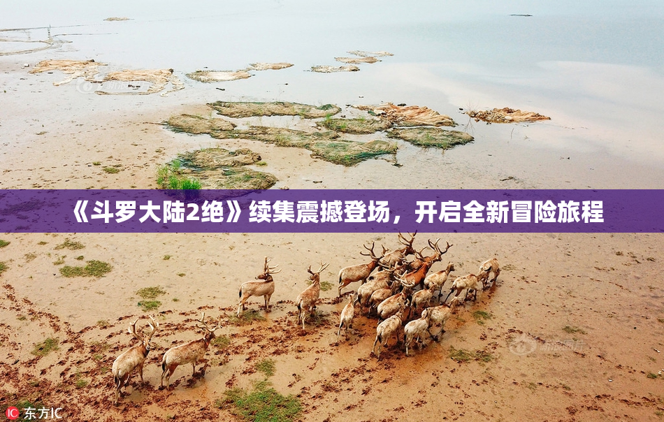 《斗罗大陆2绝》续集震撼登场，开启全新冒险旅程