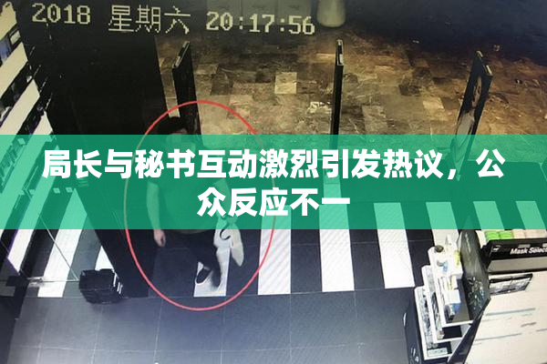 局长与秘书互动激烈引发热议，公众反应不一