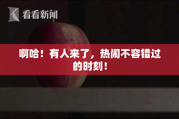 啊哈！有人来了，热闹不容错过的时刻！
