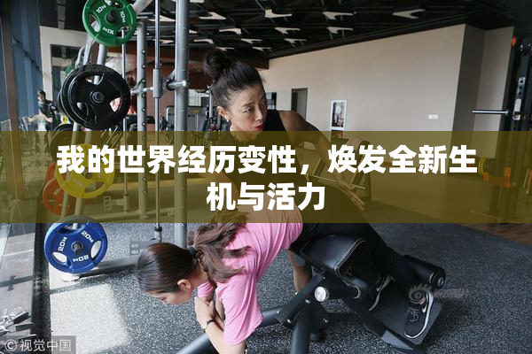 我的世界经历变性，焕发全新生机与活力