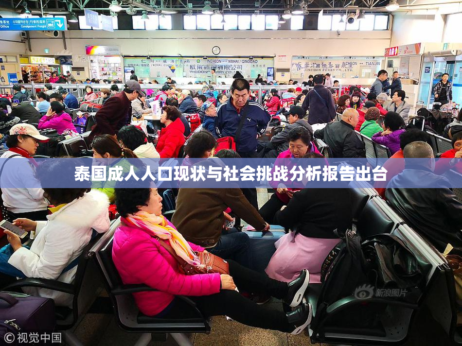 泰国成人人口现状与社会挑战分析报告出台