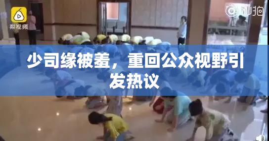 少司缘被羞，重回公众视野引发热议