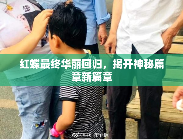红蝶最终华丽回归，揭开神秘篇章新篇章