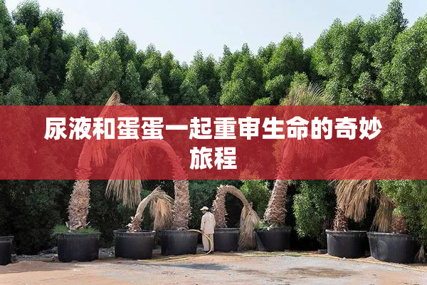 尿液和蛋蛋一起重审生命的奇妙旅程