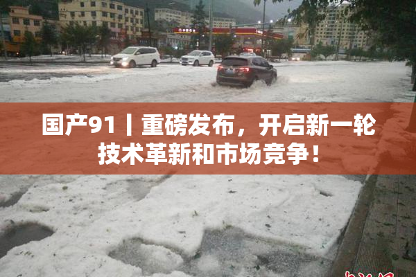 国产91丨重磅发布，开启新一轮技术革新和市场竞争！