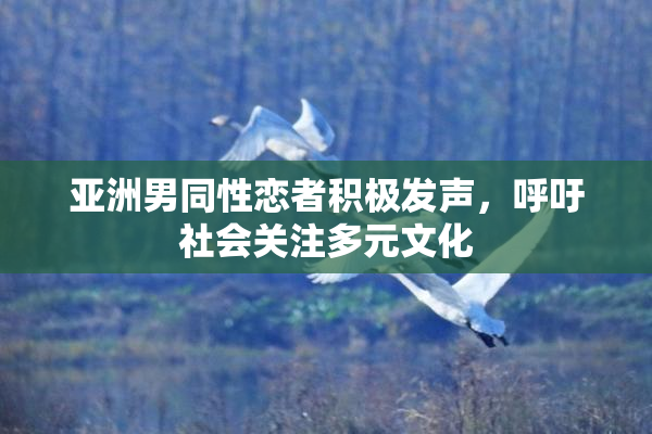 亚洲男同性恋者积极发声，呼吁社会关注多元文化