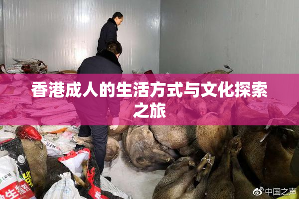 香港成人的生活方式与文化探索之旅