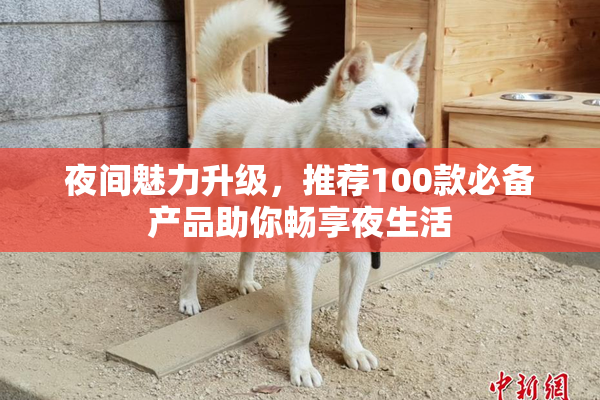 夜间魅力升级，推荐100款必备产品助你畅享夜生活