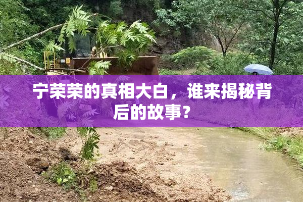 宁荣荣的真相大白，谁来揭秘背后的故事？